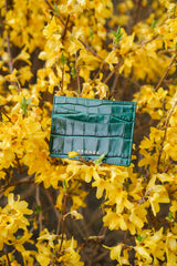 Emerald Green Card Holder